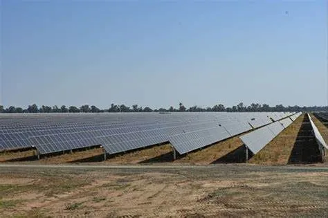 Wyalong Solar Farm site photo 3